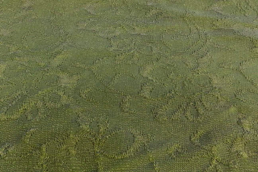 Rainbow Fabrics AW: Crocodile Green Weave With Glitter Acrylic Wool