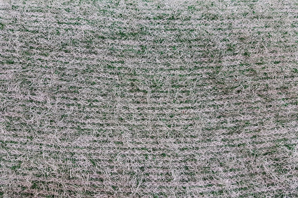 AW: White & Green Acrylic Wool - Rainbow Fabrics