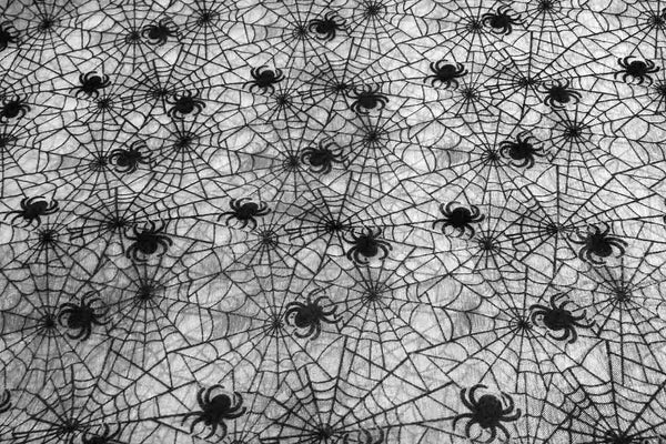 Rainbow Fabrics EO: Spider Web Flocking Organza Black Fabric