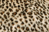 Rainbow Fabrics F1: Cream Brown And Black Leopard Faux Fur