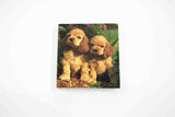 Rainbow Fabrics GB: Cocker Spaniels
