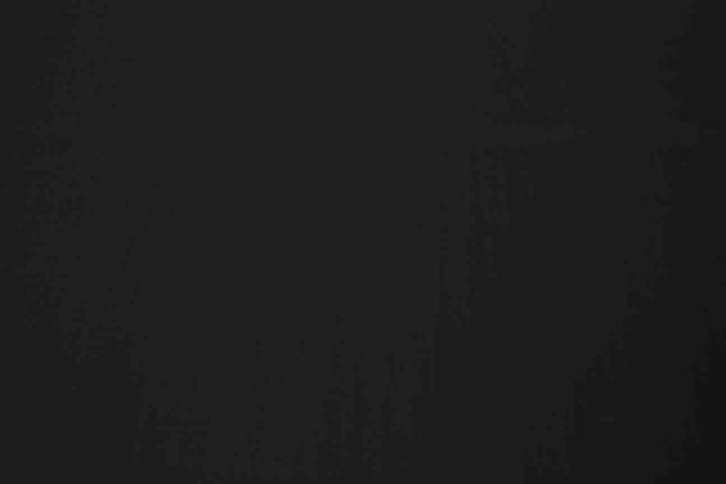 Rainbow Fabrics PCP1: Black Poly Cotton Poplin Green Fabric