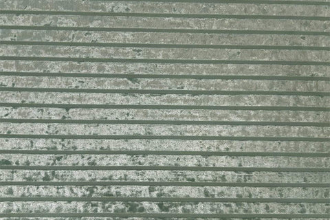 PV: Green Grey Stripes Deluxe Stretch Printed Velvet