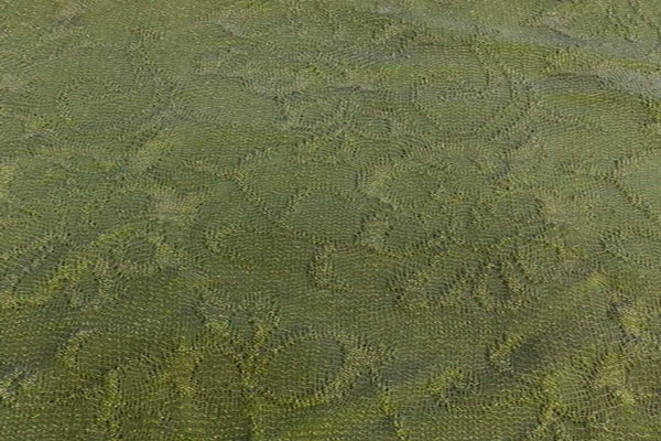 Rainbow Fabrics AW: Crocodile Green Weave With Glitter Acrylic Wool