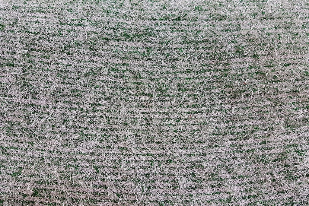 AW: White & Green Acrylic Wool - Rainbow Fabrics
