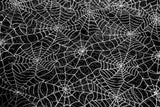 Rainbow Fabrics EO: Silver Spider Webs Organza Black Fabric