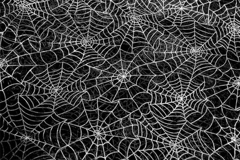 EO: Silver Spider Webs Organza