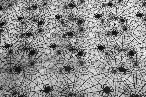 EO: Spider Web Flocking Organza