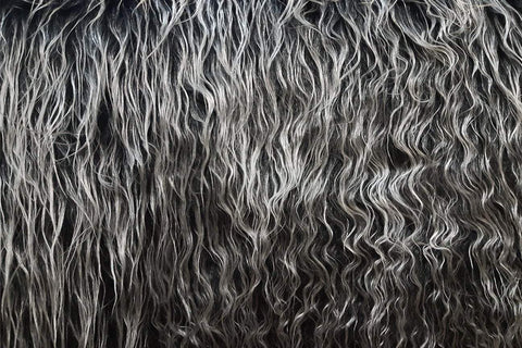 F1: Doggy Hair - Silver And Black Faux Fur - 09 SOLD OUT