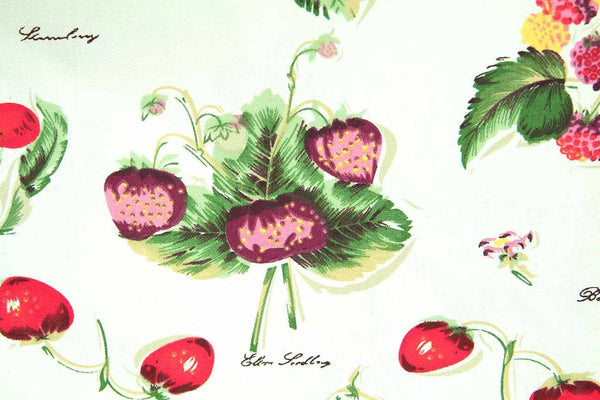 Rainbow Fabrics FB: Mixed Wild Berries White Fabric