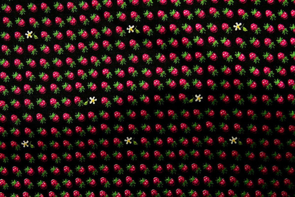 Rainbow Fabrics FB: Strawberry Sunflower Black Black Craft Fabric