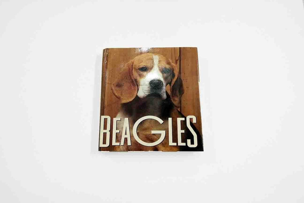 Rainbow Fabrics GB: Beagles