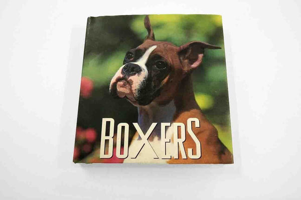 Rainbow Fabrics GB: Boxers