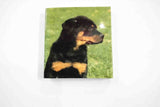 Rainbow Fabrics GB: Rottweilers