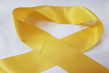 Rainbow Fabrics Gold Ribbon