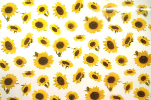 Rainbow Fabrics OP: Sunflowers Plastic