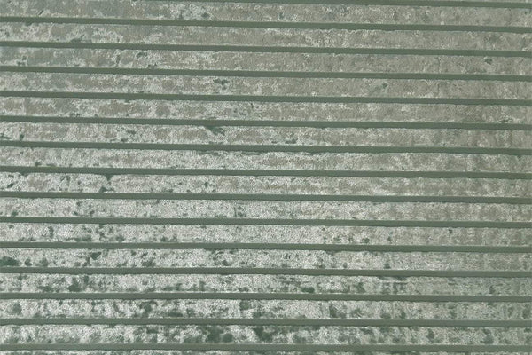 Rainbow Fabrics PV: Green Grey Stripes Deluxe Stretch Printed Velvet